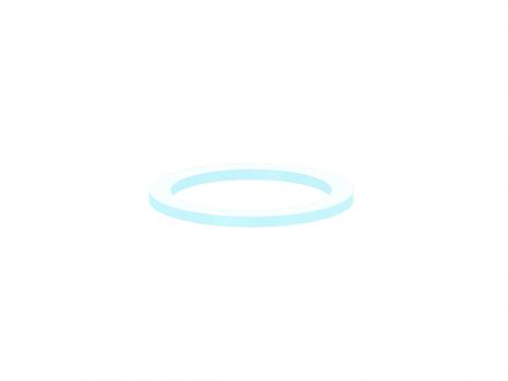 Прокладка плоская 32 мм М020 АНИ пласт