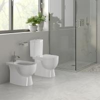 Биде "Art" напольное (подходит крепеж для скрытого монтажа) (Sanita Luxe)