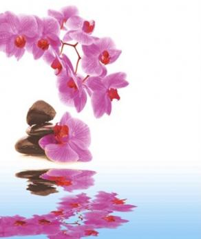 Штора для ванной  Фотопринт 180*180 Орхидея YQL-DX-132 без колец