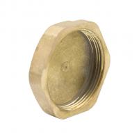 Заглушка 2'' вн ЛАТ с контр отв LEXLINE 50