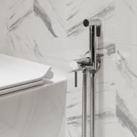 Смеситель с гигиенической лейкой 25k MIXLINE ML31-081 "Ray" встраиваемый