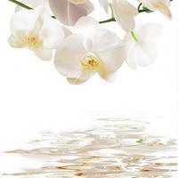 Штора для ванной  Фотопринт 180*200  Орхидеи DX-130 без колец