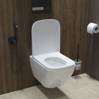 Унитаз подвесной безободковый IDDIS TORRDSEi25 "Torr" безободковый, сиденье дюропласт, микролифт