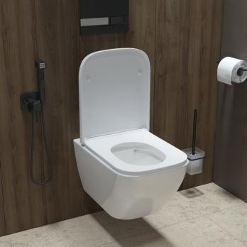 Унитаз подвесной безободковый IDDIS TORRDSEi25 "Torr" безободковый, сиденье дюропласт, микролифт