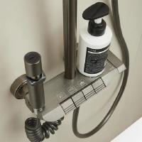 Душевая система 35к ПРОФСАН ПСМ-900-81GA клавиш.упр. лейка "Тропич. душ круг" + гигиен. лейка ГРАФИТ