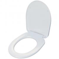 Сиденье для унитаза "Рио" голубовато-белое ИНКОЭР с микролифтом