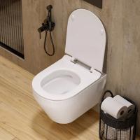 Унитаз подвесной "Novel" безободковый (сид. дюро м/лифт slim, clip up) (Sanita Luxe)