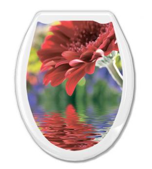 Сиденье для унитаза "Универсал Декор" Красная гербера Европласт