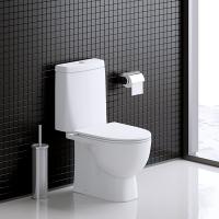 Унитаз-компакт "Fest Comfort" (а/вспл, гор,ниж,2кн.AlcaPlast/Oliveira, дюро м/л,clip up) (Sanita L)