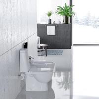 Унитаз-компакт "Fest Comfort" (а/вспл, гор,ниж,2кн.AlcaPlast/Oliveira, дюро м/л,clip up) (Sanita L)