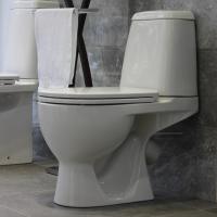 Унитаз-компакт "Max Comfort" (а/вспл,кос,ниж,2кн.Oliveira, дюро м/лифт,clip up) (Sanita L)