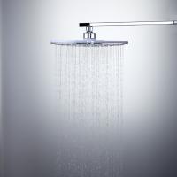 Лейка для душа FRAP F008-25 (тропический душ, круг D245мм, 1 режим, белый/хром)