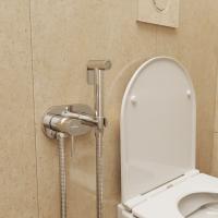 Смеситель с гигиенической лейкой 25k MIXLINE ML31-085 "Ray" встраиваемый