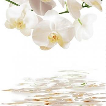 Штора для ванной  Фотопринт 180*200  Орхидеи DX-130 без колец