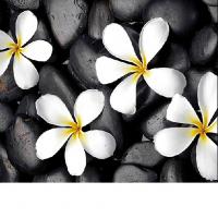 Штора для ванной  Фотопринт 180*200  Цветы  Z-003 без колец