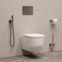 Смеситель с гигиенической лейкой  25к IDDIS 005GMR0i08 встраиваемый, ГРАФИТ матовый