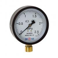 Манометр 100х1/2'' 25 бар МД02 (нижн радиал подкл, корпус сталь, минстекло) ЭКОМЕРА