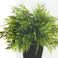 Душевое ограждение (без поддона) Терра-Графит, 120х90, прямоугольник